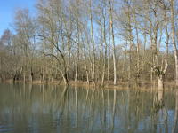 5801 Bessines - Inondation février 2007 