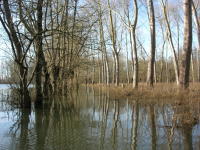 5804 Bessines - Inondation février 2007 
