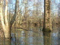 5806 Bessines - Inondation février 2007 