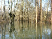 5808 Bessines - Inondation février 2007 