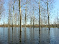 5809 Bessines - Inondation février 2007 