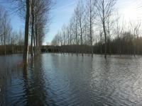 5810 Bessines - Inondation février 2007 