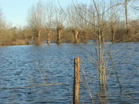 5811 Bessines - Inondation février 2007 
