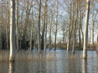 5812 Bessines - Inondation février 2007 