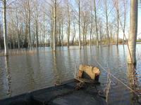 5813 Bessines - Inondation février 2007 
