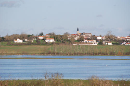 Lairoux - Le marais communal de Lairoux inondé. Marais poitevin