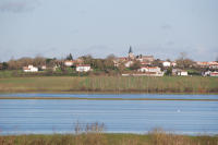 5860 Lairoux - Le marais communal de Lairoux inondé. Marais poitevin 
