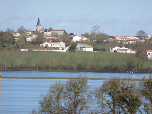 Lairoux - Le marais communal de Lairoux inondé. Marais poitevin