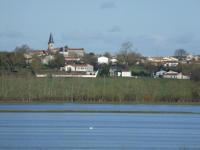 5869 Lairoux - Le marais communal de Lairoux inondé. Marais poitevin 