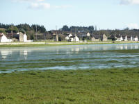 5875 Lairoux - Le marais communal de Lairoux inondé. Marais poitevin 