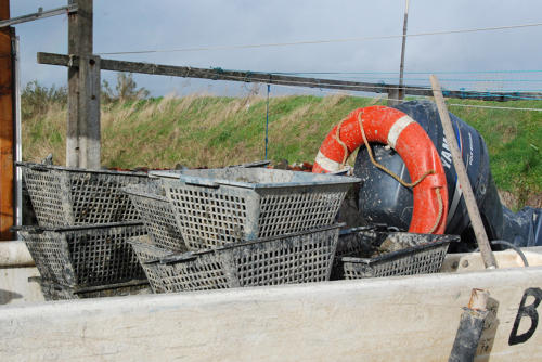 La Faute-sur-Mer - Panier à huîtres dans un bateau ostréicole