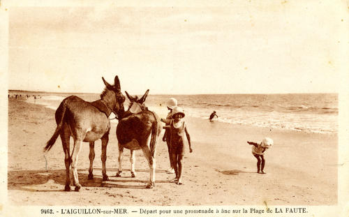 La Faute-sur-Mer - Départ pour une promenade à âne sur la plage