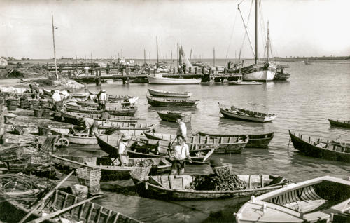 L'Aiguillon-sur-Mer - Arrivée des bateaux de pêche
