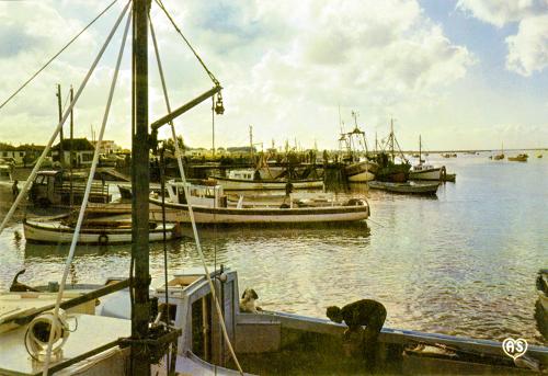 L'Aiguillon-sur-Mer - le port de pêche