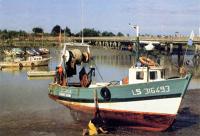 6778 L'Aiguillon-sur-Mer - le port de pêche 