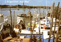 6779 L'Aiguillon-sur-Mer - le port de pêche 