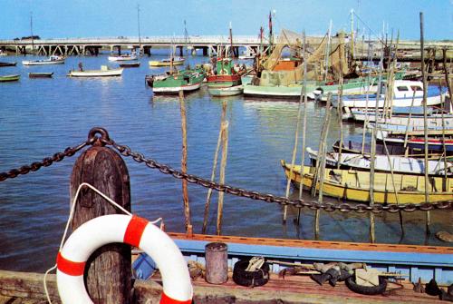 L'Aiguillon-sur-Mer - le port de pêche