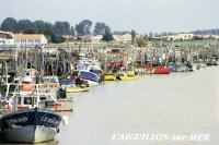 6801 L'Aiguillon-sur-Mer - Le port de pêche 
