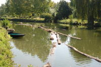 11593 Bois sur l'eau - Marais mouillé 