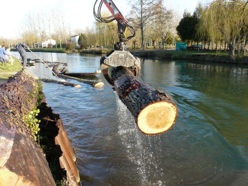 Transport du bois dans le Marais poitevin