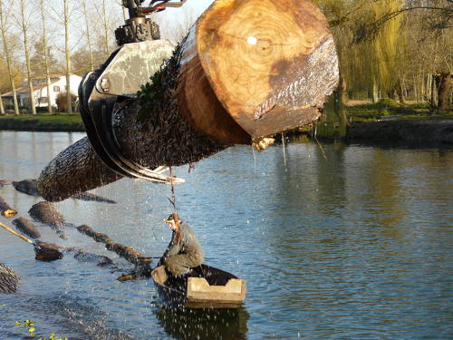 Transport du bois dans le Marais poitevin