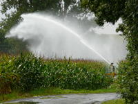 13056 Irrigation du maïs dans le Marais poitevin 