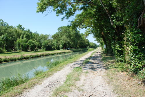 Canal de la Vieille Autize - Commune de Saint Sigismond