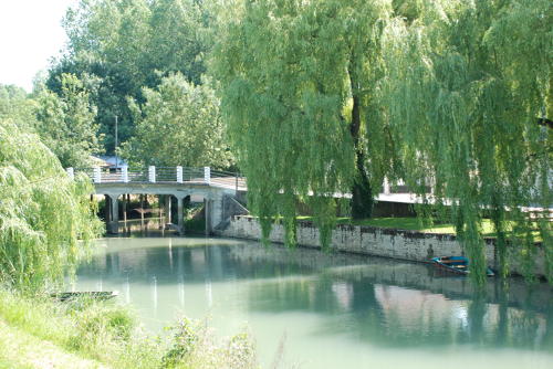 Canal de la Vieille Autize - Commune de Saint Sigismond