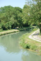 11020 Canal de la Vieille Autize - Commune de Saint Sigismond 
