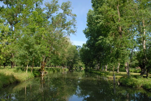 Le Marais mouillé