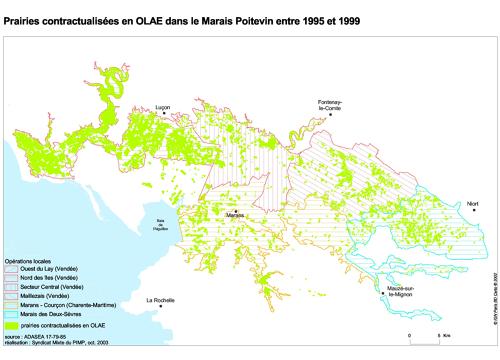 Prairies contractualisées en OLAE dans le Marais poitevin entre 1995 et 1999