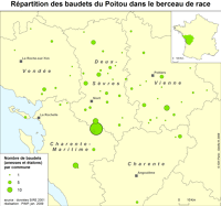 13717 Répartition des baudets du Poitou dans le berceau de race en 2001 