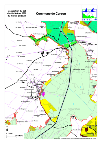 Occupation du sol du site Natura 2000 du Marais poitevin en 2004: commune de Curzon