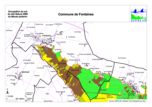 Occupation du sol du site Natura 2000 du Marais poitevin en 2004: commune de Fontaines