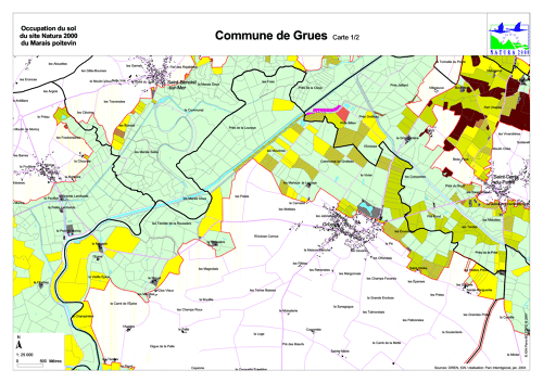Occupation du sol du site Natura 2000 du Marais poitevin en 2004: commune de Grues nord (carte 1/2)