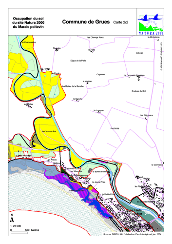 Occupation du sol du site Natura 2000 du Marais poitevin en 2004: commune de Grues sud (carte 2/2)