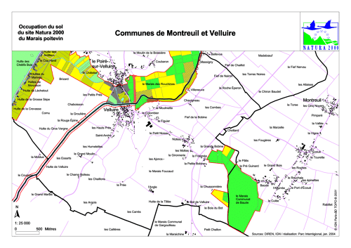 Occupation du sol du site Natura 2000 du Marais poitevin en 2004: commune de Montreuil et Velluire