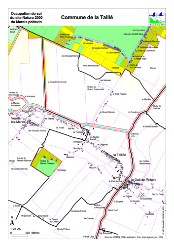 Occupation du sol du site Natura 2000 du Marais poitevin en 2004: commune de la Taillé