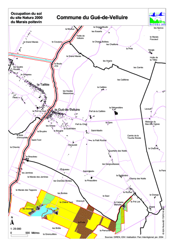 Occupation du sol du site Natura 2000 du Marais poitevin en 2004: commune du Gué-de-Velluire