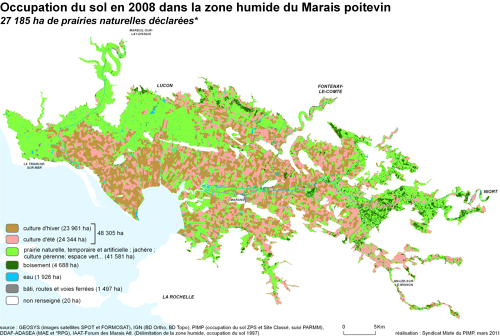 Occupation du sol en 2008 dans la zone humide du Marais poitevin et comparaison avec la surface de prairies déclarées à la PAC