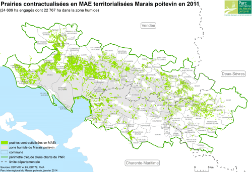 Prairies contractualisées en MAE territorialisées Marais poitevin en 2011