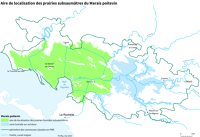 13716 Aire de localisation des prairies subsaumâtres du Marais poitevin 