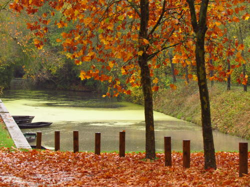 Paysage d'automne - Saint Georges de Rex