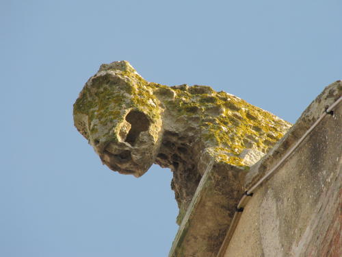 Gargouille de l'Eglise Notre Dame des Anges d'Angles