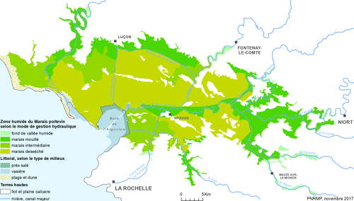 Zone humide du Marais poitevin selon le mode de gestion hydraulique