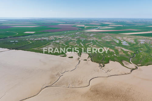 Vue aérienne des mizottes et des polders de Triaize (85)