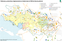 13863 Éoliennes, protections réglementaires et labels dans le Parc naturel régional du Marais poitevin 