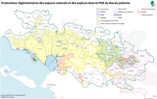Protections réglementaires des espaces naturels et des espèces dans le PNR du Marais poitevin