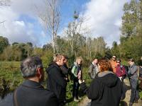 12782 La Tchéquie et la Slovaquie s’intéressent aux actions du Parc en matière de conservation des arbres têtards 