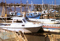 13113 Le port de l'Aiguillon-sur-Mer 